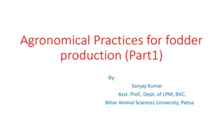 Agronomical Practices for Fodder Production - Part 1