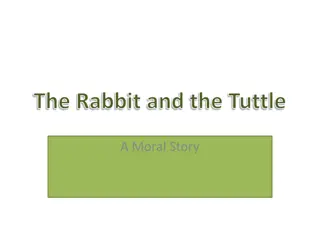 The Rabbit and the Turtle - A Tale of Speed and Perseverance