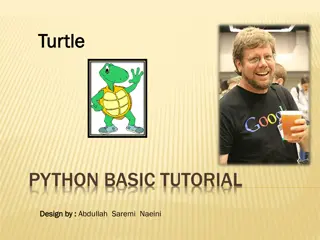 Introduction to Basic Python Turtle Tutorial