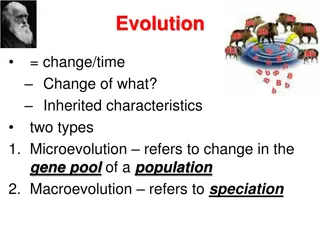 Evolution and Species Classification