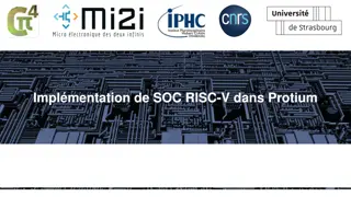 Implementation of RISC-V in Protium: Overview and Analysis