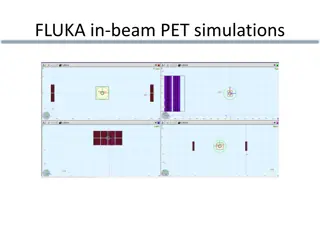 Advanced Imaging Simulations for Hadrontherapy and PET Procedures