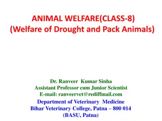 Maximum Load Guidelines for Draught and Pack Animals