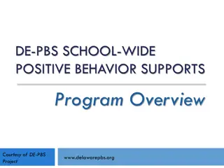 Positive Behavior Support Program Overview