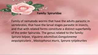 Understanding Spiruridae and Filariidae Nematodes in Vertebrates