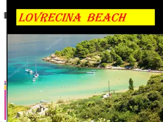 Explore Lovrecina Beach in Brac, Croatia