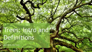 Understanding Trees: Introduction and Definitions