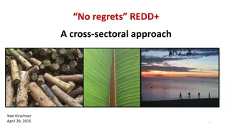 Enhancing Natural Resource Management Through No-Regrets REDD+: A Cross-Sectoral Perspective