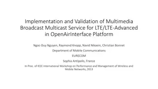 Implementation and Validation of Multimedia Broadcast Multicast Service for LTE/LTE-Advanced