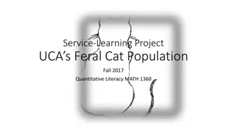 Service-Learning Project UCA's Feral Cat Population Fall 2017