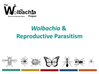 Understanding Wolbachia: Reproductive Parasitism and Control Strategies