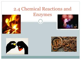 Chemical Reactions and Enzymes