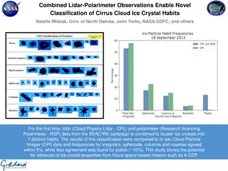 Novel Classification of Cirrus Cloud Ice Crystal Habits Using Combined Lidar-Polarimeter Observations