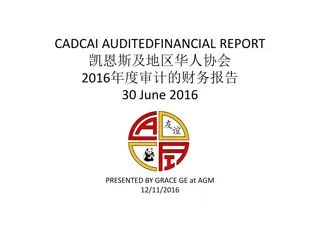 CADCAI Audited Financial Report 2016 Summary & Analysis