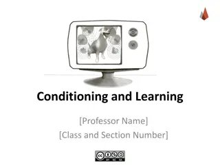 Classical Conditioning: Pavlov's Experiment and Responses