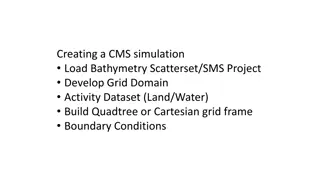 Creating a CMS Simulation: Grid Domain Activity Dataset Development