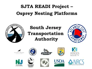 Osprey Nesting Platforms Initiative by South Jersey Transportation Authority