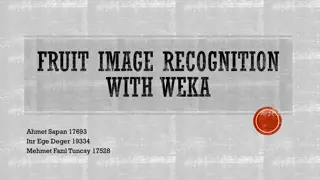 Fruit Image Recognition with Weka: Methods & Results