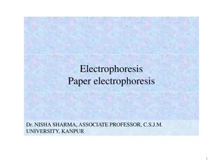 Paper Electrophoresis in Biochemistry Research