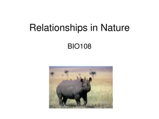 Symbiotic Relationships in Nature