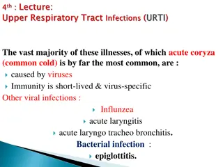 Understanding Common Colds and Respiratory Infections