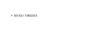 Overview of Myxoviruses: Classification, Morphology, and Orthomyxoviridae