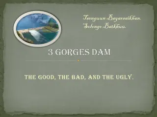 Three Gorges Dam: The Good, the Bad, and the Ugly