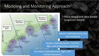 Aquaculture Modeling and Monitoring Approach in Coastal Ecosystems