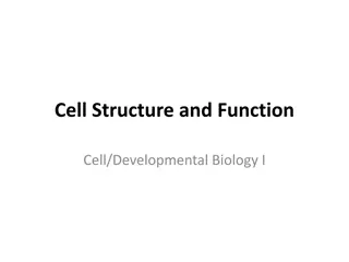 Cell Structure and Function in Developmental Biology