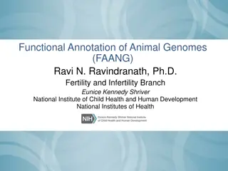 Importance of Functional Annotation of Animal Genomes in NIH Research