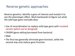 Reverse Genetic Approaches in Gene Manipulation