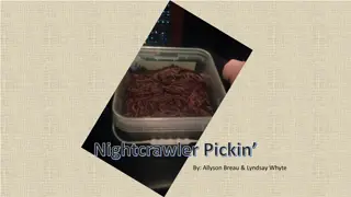 Ultimate Guide to Nightcrawler Picking: Tips and Techniques