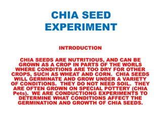 Chia Seed Experiment: Investigating Germination and Growth Factors