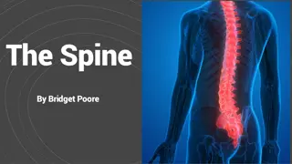 Joint Disabilities and Ankylosis in Spinal Health