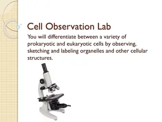 Cell Observation Lab for Prokaryotic and Eukaryotic Cells