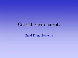 Coastal Sand Dune Systems and Formations