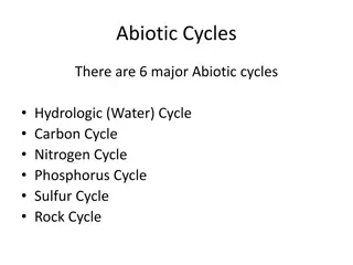 Abiotic Cycles in Ecosystems: Hydrologic, Carbon, Nitrogen, and More