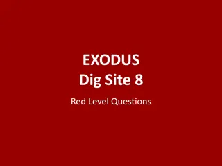 Unveiling the Plagues in Exodus: Lessons from the Red Level Questions