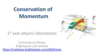 Conservation of Momentum in Collisions: University of Ottawa Physics Lab