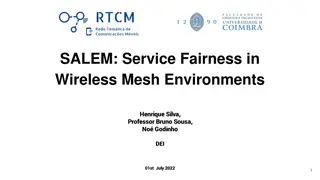 SALEM: Service Fairness in Wireless Mesh Environments