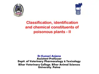 Glycosides: Classification, Identification, and Toxicity in Poisonous Plants