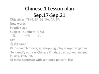 Chinese 1 Lesson Plan: Objectives, New Words, and Grammar Activities