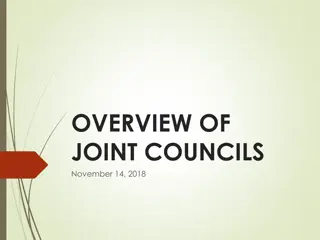 Joint Councils for Regional Governance