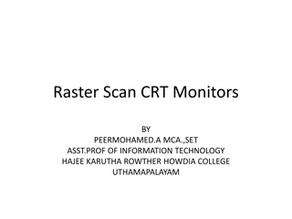 Raster Scan CRT Monitors in Information Technology