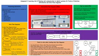 Information and Data Flow Diagrams in Digital Systems