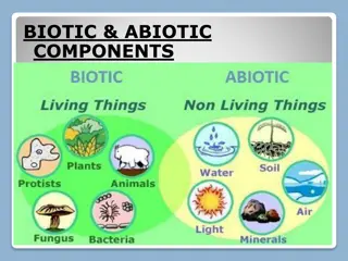 Understanding Biotic and Abiotic Components in Ecosystems