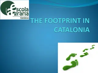 Ecological Footprint: A Vital Sustainability Indicator