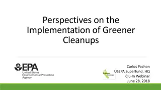 Implementing Greener Cleanups - Perspectives and Best Practices