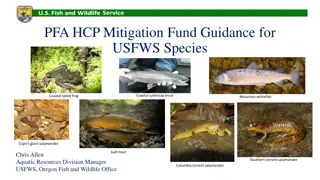 Guidance on USFWS Species Mitigation Fund for Coastal Trout and Frog Conservation