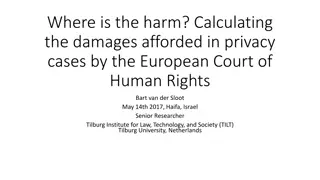 Privacy Cases and Damages: European Court of Human Rights Rulings